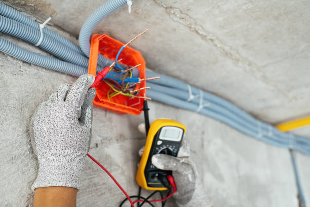 Best Electrical Repair Services  in Laurel, DE